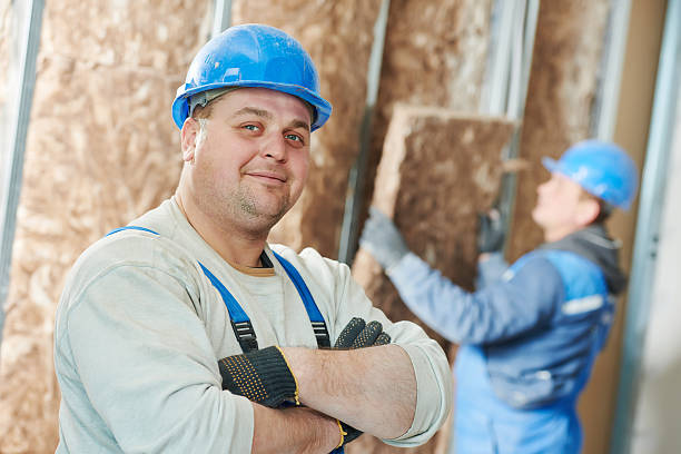 Best Energy Efficiency Solutions in Belleview, FL