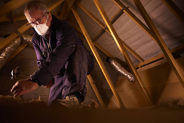 Best Insulation Installation Services in Belleview, FL