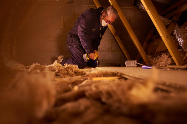 Best Residential Insulation in Belleview, FL